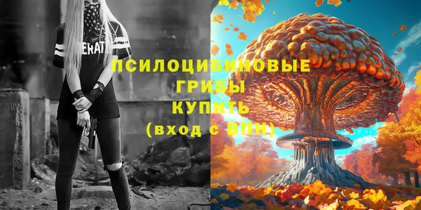 соль ск Абдулино