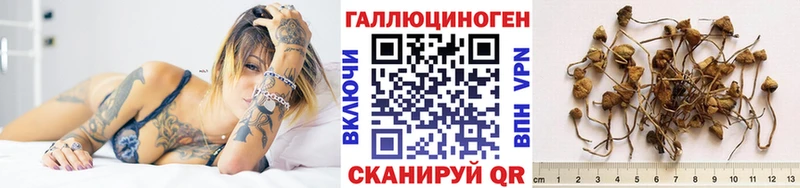 купить наркотик  блэк спрут ONION  Галлюциногенные грибы Cubensis  Рославль 